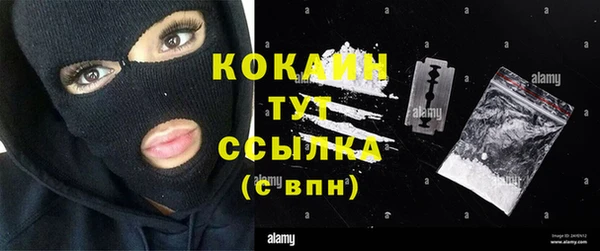 твердый Гусев