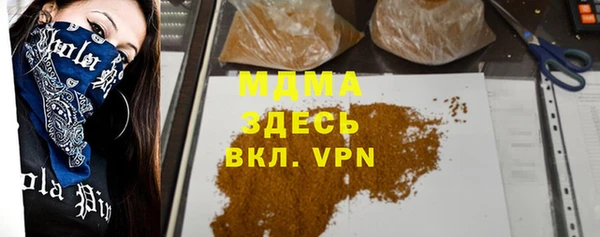 твердый Гусев