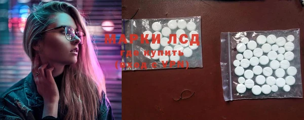 твердый Гусев
