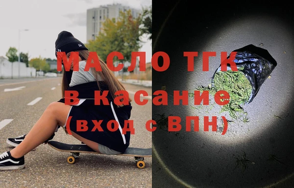 твердый Гусев