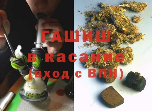 твердый Гусев