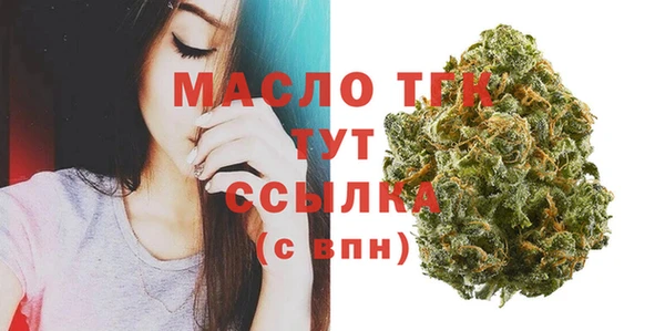 твердый Гусев