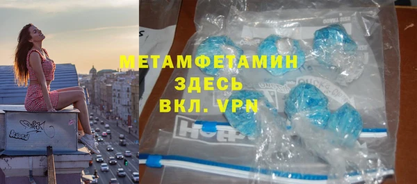 твердый Гусев